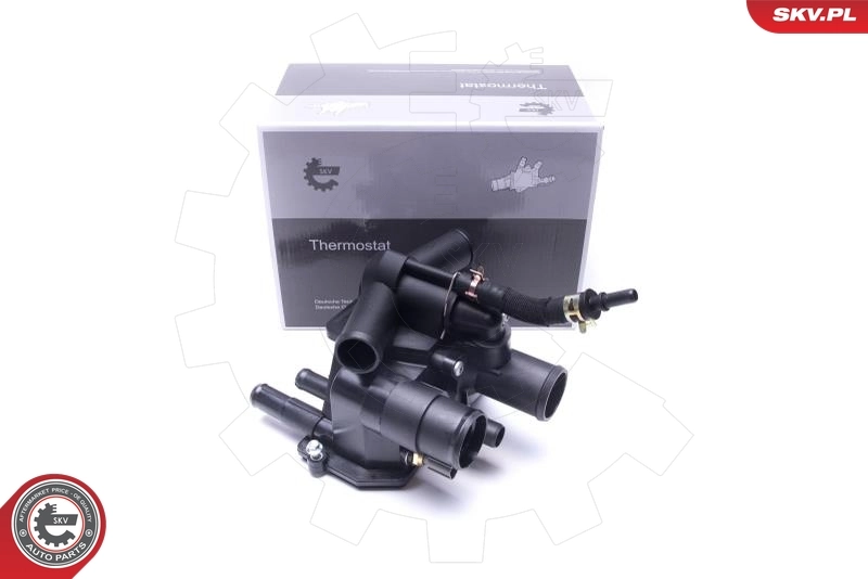 Thermostat, coolant